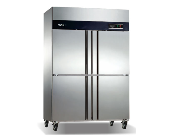 Jindobao Series Tall Freezer D860L4-A