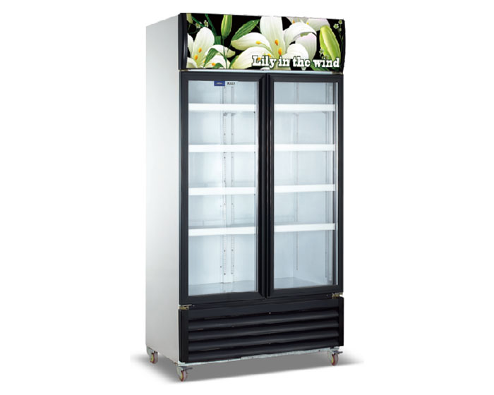 Wind Lily Series Vertical Display Freezer LC-800TM2FN