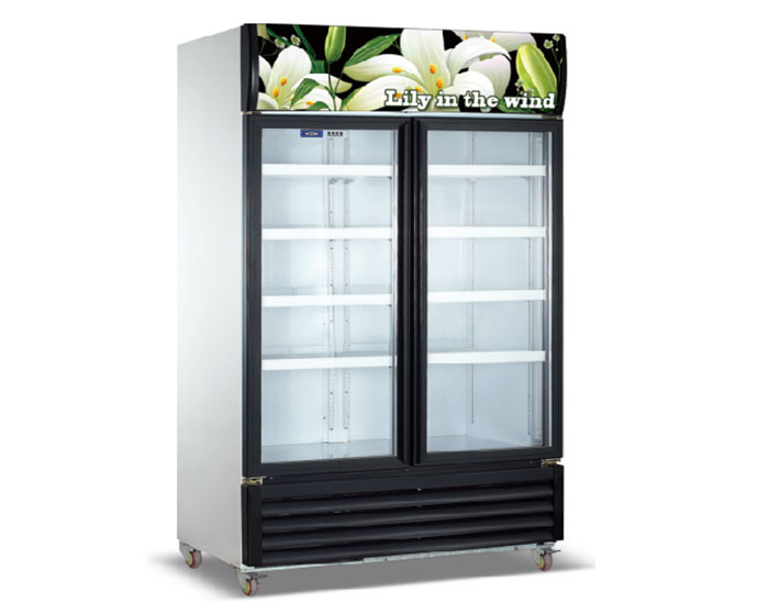 Wind Lily Series Vertical Display Freezer LC-1200TM2FN